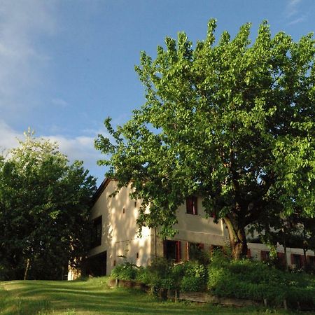 Ca Borgh Villa Santa Maria di Feletto Bagian luar foto