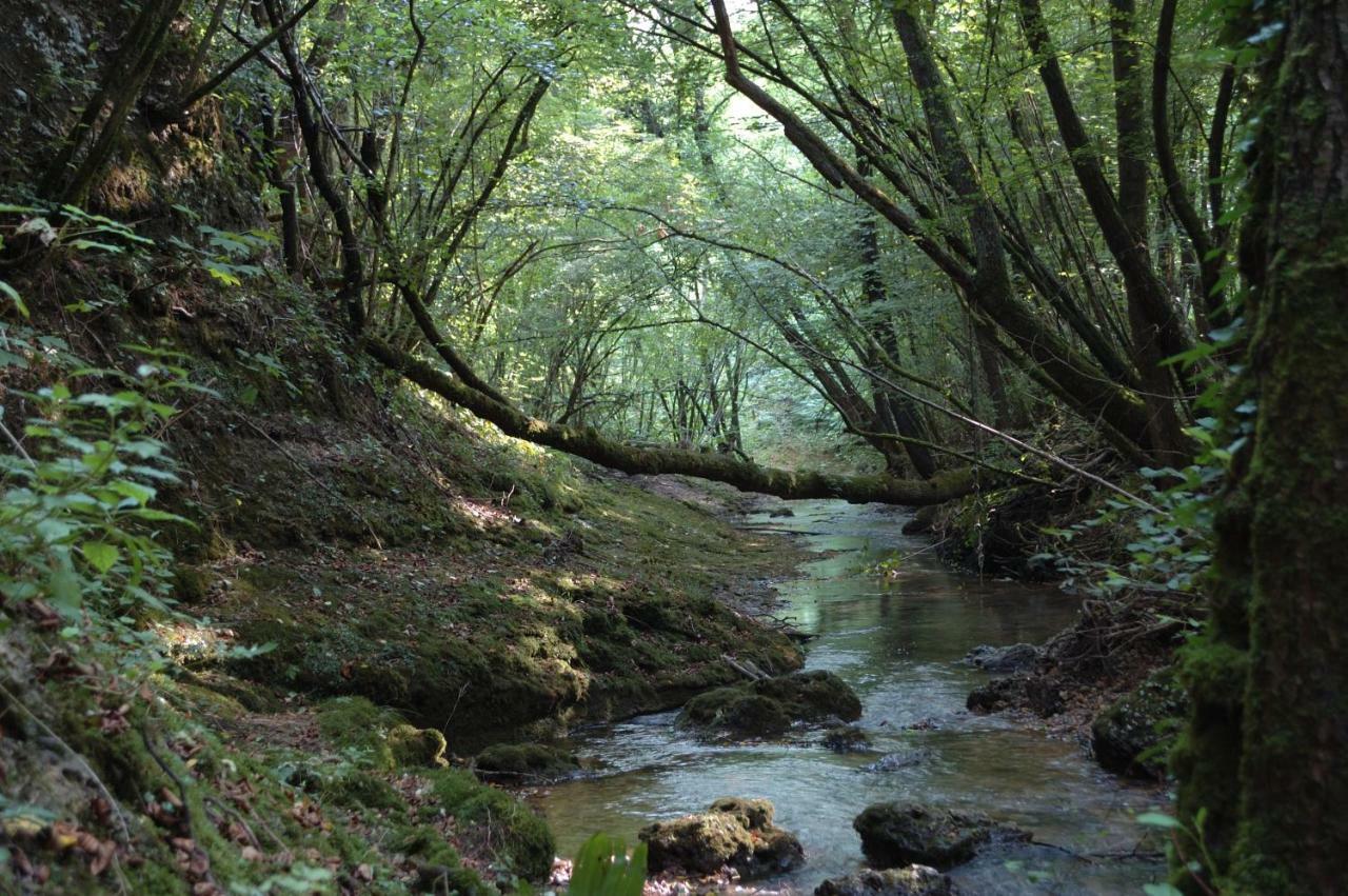 Ca Borgh Villa Santa Maria di Feletto Bagian luar foto