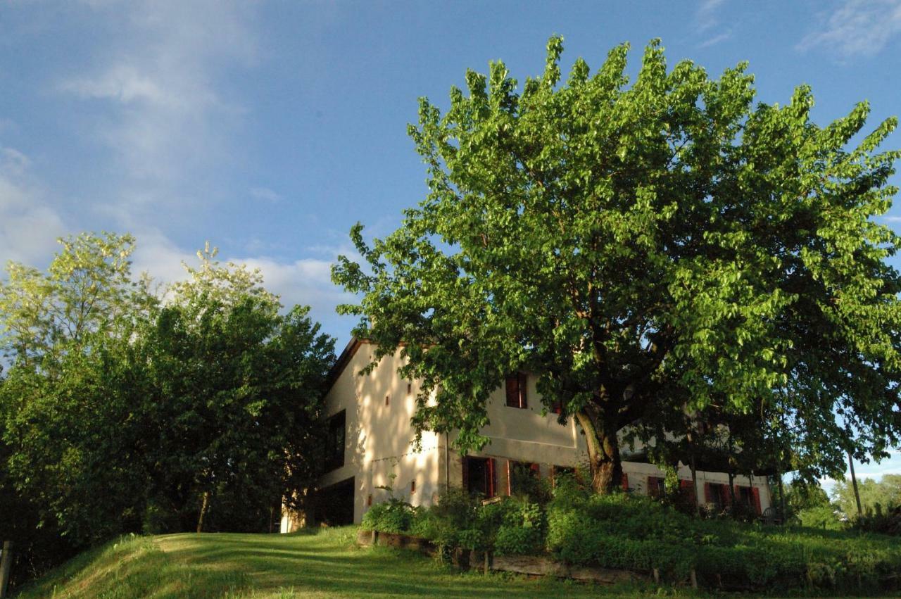 Ca Borgh Villa Santa Maria di Feletto Bagian luar foto